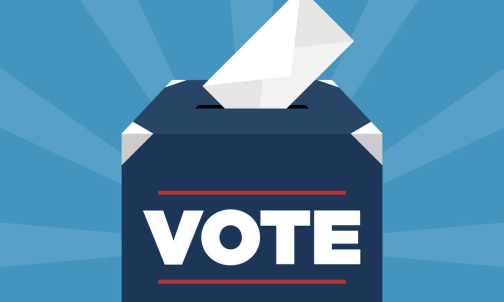 BLDC Go Vote 2020