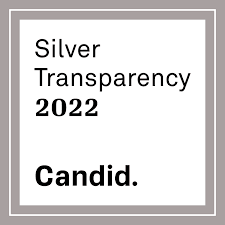 Silver-Transparency-2022